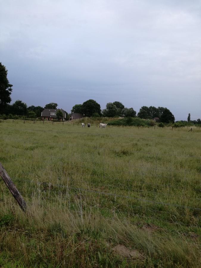 Recreatieoord Hippique Westendorp Exterior foto